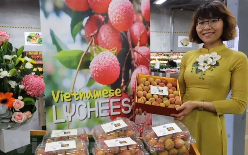 Hộp vải tươi Việt Nam được đấu giá thành công với giá trị lên tới gần 53 triệu VND. (Ảnh: Diệu Linh/TTXVN)