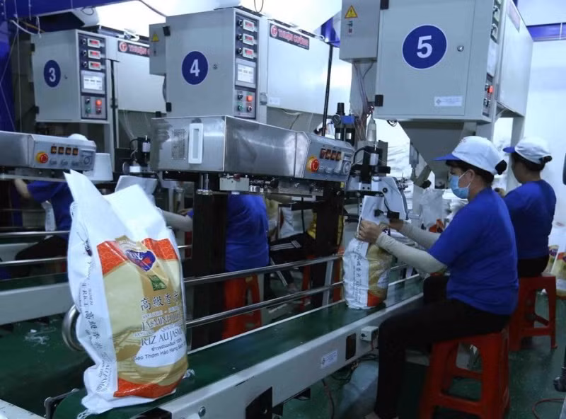 Nhanh chóng tháo gỡ khó khăn cho doanh nghiệp xuất khẩu gạo -0