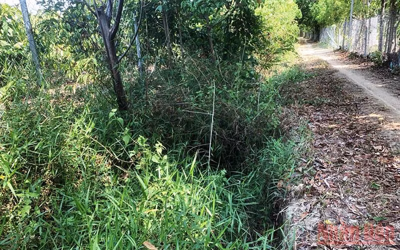 Con đường rộng 4,5 m giờ thành đường mòn vì bị múc làm mương.