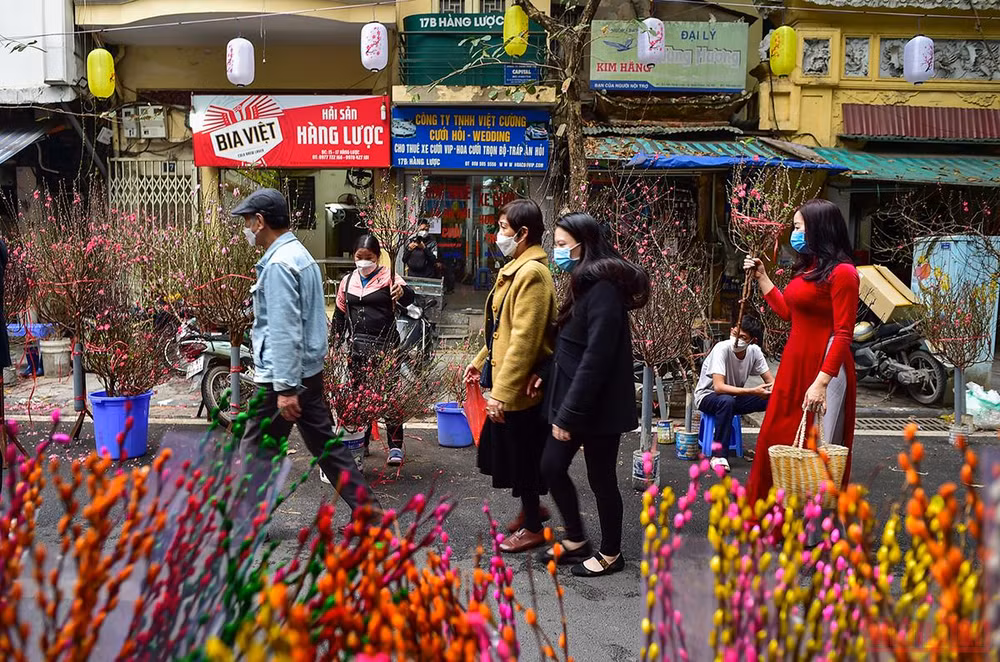 Hà Nội “thay áo mới” rực rỡ đón Xuân Nhâm Dần 2022 -0