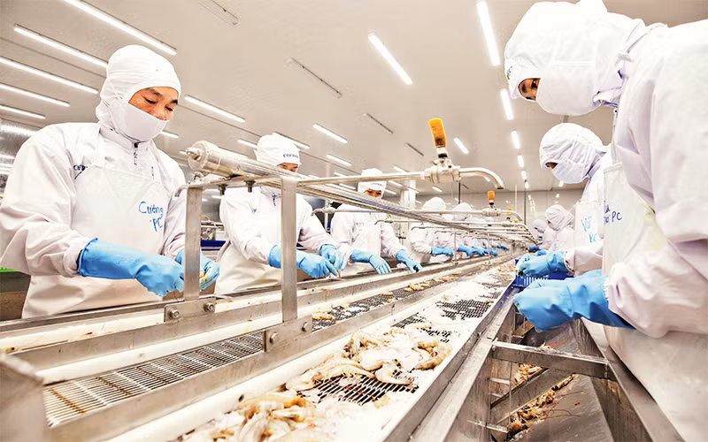 Dây chuyền chế biến hải sản tại Công ty Phát triển kinh tế duyên hải (COFIDEC). Ảnh: CTV