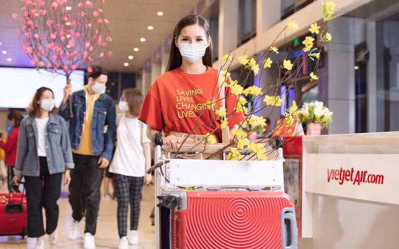 Vietjet vận chuyển mai, đào dịp Tết Nguyên đán
