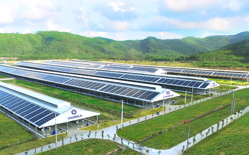 Năng lượng mặt trời đã được Vinamilk triển khai áp dụng trên tất cả trang trại cả nước, dự kiến hoàn thành vào cuối 2021. Vinamilk đứng đầu trong lĩnh vực Hàng tiêu dùng trong Top 50 niêm yết của Forbes -0