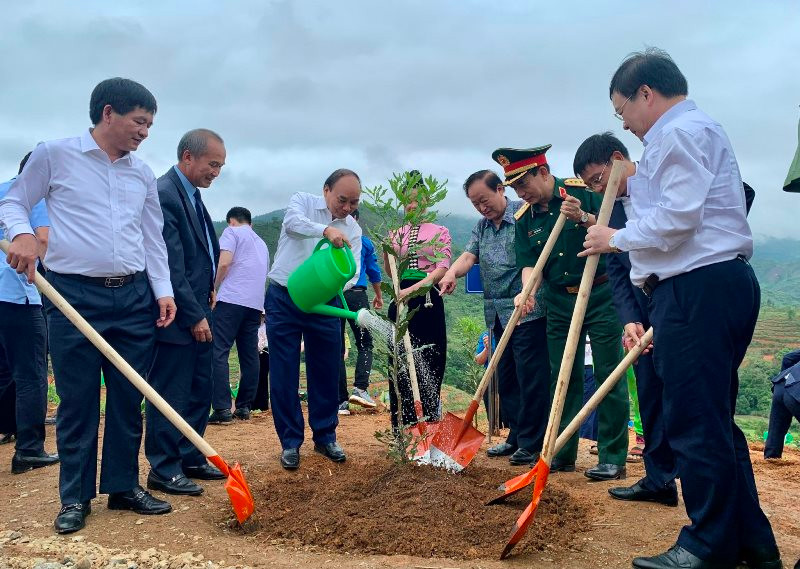 Chủ tịch nước Nguyễn Xuân Phúc tham gia trồng vườn cây mắc-ca tại xã Nà Nhạn (TP Điện Biên Phủ, tỉnh Điện Biên).