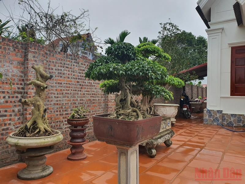 Khuôn viên nhà ông Nguyễn Trung Phi một phần là đường đi của người dân thôn Bỉ trước đây. Cần xử lý dứt điểm sai phạm ở Ngọc Thiện -0