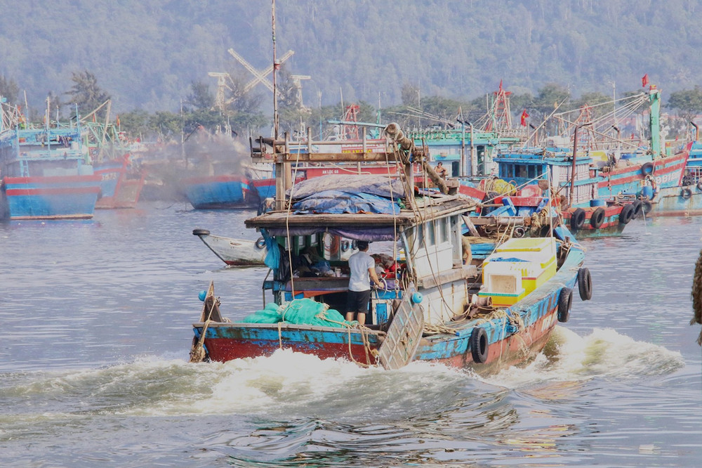 Tàu cá ngư dân vươn khơi đón xuân Nhâm Dần trên biển với niềm tin bội thu cá mực đầy khoang. Lộc biển cuối năm của ngư dân miền trung -0