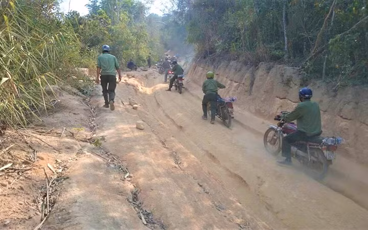 Lực lượng quản lý, bảo vệ rừng của một Công ty lâm nghiệp ở huyện Ea H’leo trên đường tuần tra bảo vệ rừng. (Ảnh minh họa)