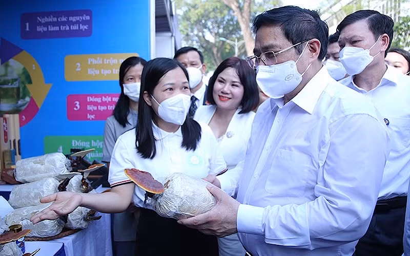 Phát huy tối đa nguồn nhân lực, thúc đẩy mạnh mẽ khởi nghiệp sáng tạo -0