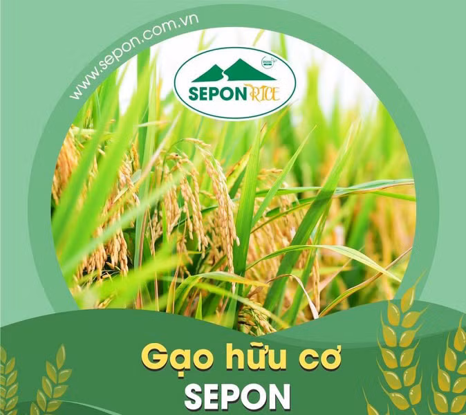 Kỳ 3: Quảng Trị với niềm vui mới -0