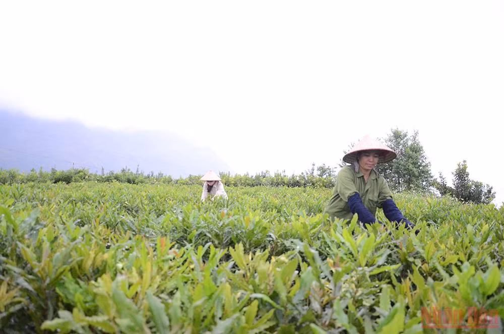 Bài 2: Phát triển bền vững, đúng quy hoạch -0