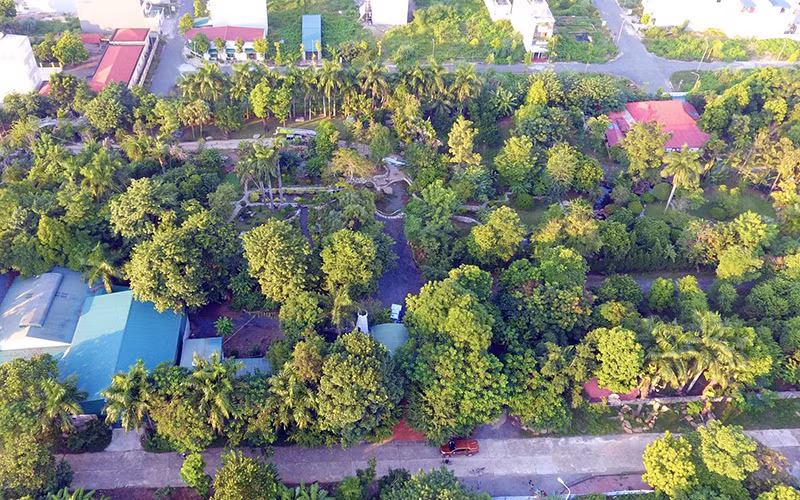 Toàn cảnh khu “đất vàng” dự án của Công ty cổ phần Thanh Út. 