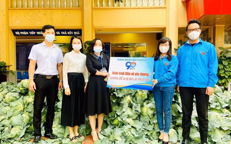 Đoàn viên, thanh niên TP Hải Dương thu mua rau xanh cấp phát tới các hộ khó khăn.