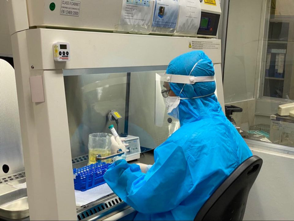 Việt Nam sẵn sàng thử nghiệm vaccine ngừa Covid-19 trên người ảnh 1 Việt Nam sẵn sàng thử nghiệm vaccine ngừa Covid-19 trên người -0