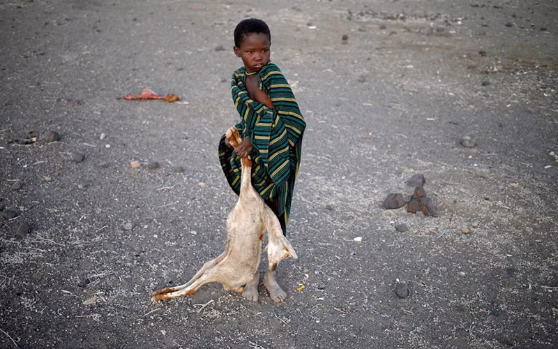 Biến đổi khí hậu khiến hàng chục triệu người Đông Phi phải di dời vào năm 2050 -0