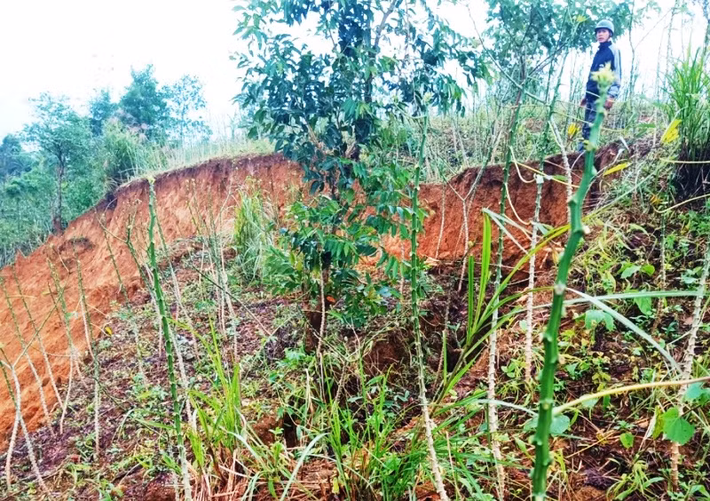 Quảng Trị: Di dời khẩn cấp người dân ra khỏi vùng nguy cơ sạt lở -0