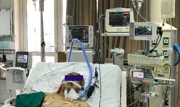 Bệnh nhân được hạ thân nhiệt.