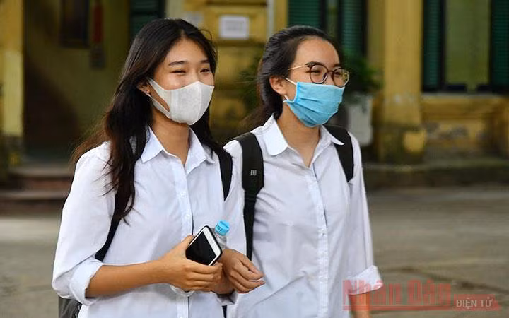 Ảnh minh họa: Thủy Nguyên.