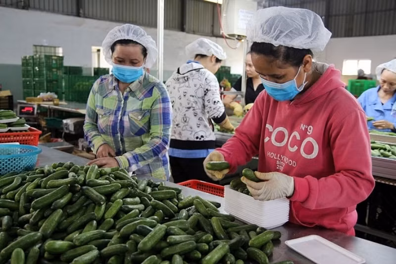 Thúc đẩy tiêu thụ nông sản trong bối cảnh dịch bệnh -0