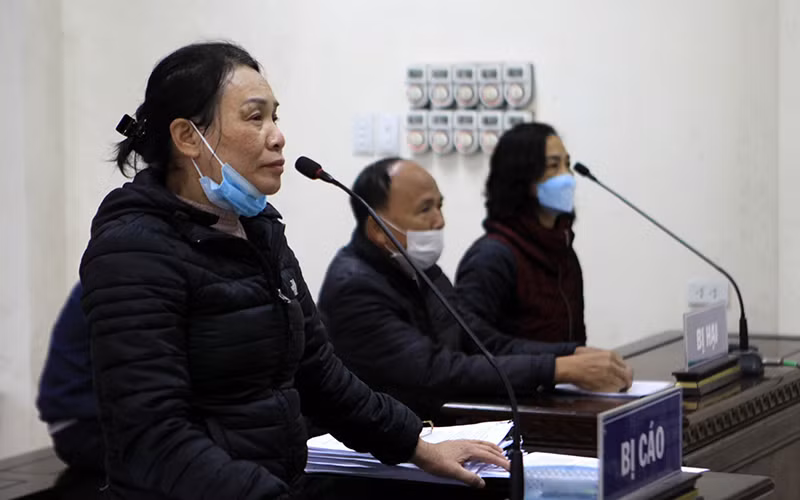 27 năm tù giam dành cho các đối tượng chiếm đoạt tài sản ở Thái Bình -0
