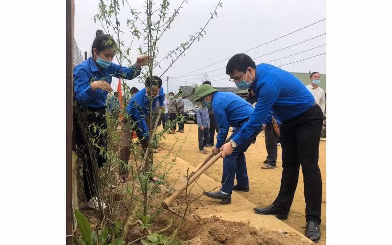 Đoàn viên thanh niên tham gia trồng 1.000 gốc hoa đào.