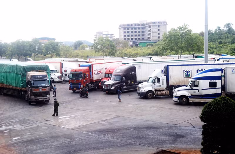 Mỗi ngày, hơn 500 tấn vải thiều Bắc Giang xuất khẩu qua Cửa khẩu Lào Cai -0