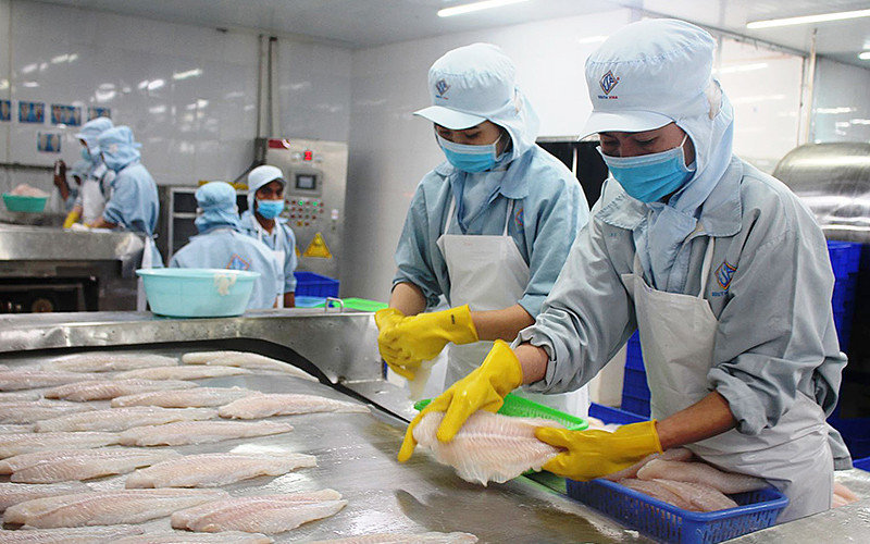 Kim ngạch xuất khẩu thủy sản năm 2021 ước đạt 8,89 tỷ USD, tăng 5,7% so với cùng kỳ năm 2020.
