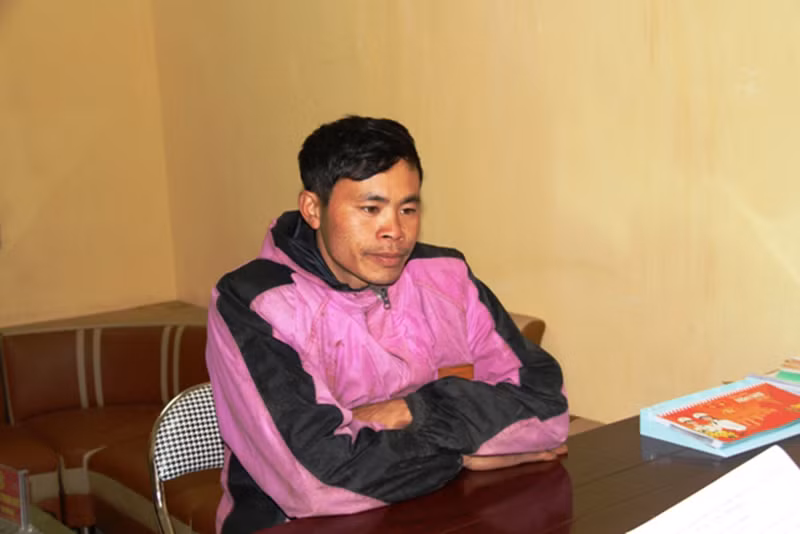 Khởi tố hai đối tượng chặt phá rừng phòng hộ ở Lào Cai -0