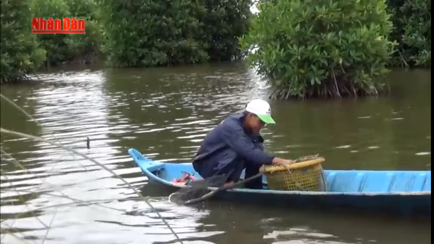Đầm Đông Hồ