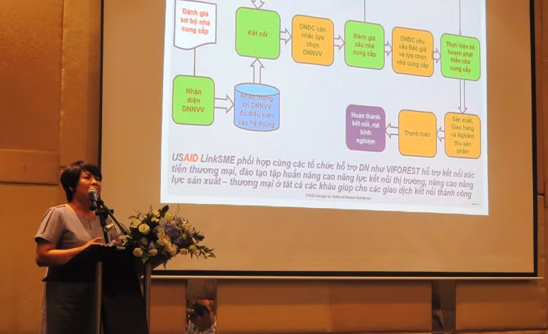 Thúc đẩy sản xuất và xuất khẩu bền vững mặt hàng gỗ dán -0