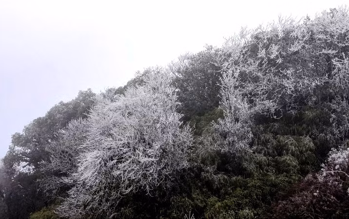 (đề nghị ghép tin Mẫu Sơn) -0