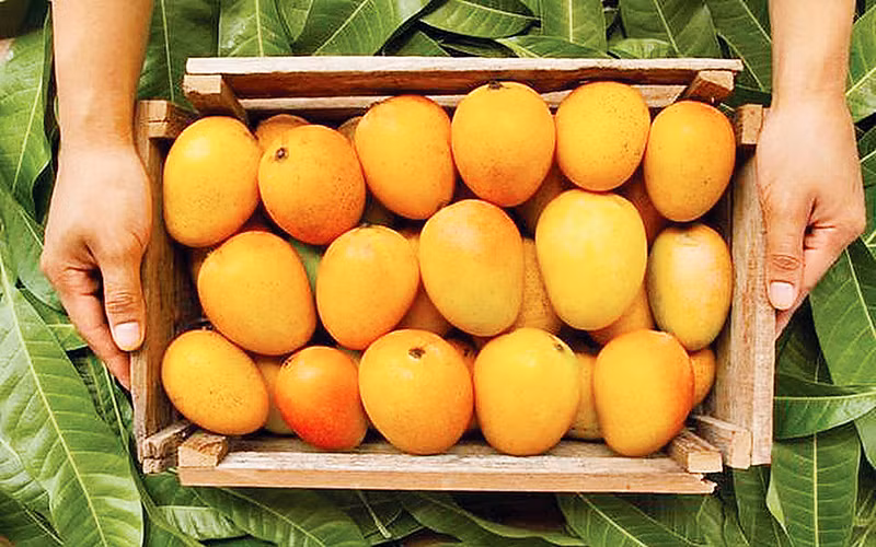 Chợ ảo - cơ hội của nông dân Ấn Độ -0
