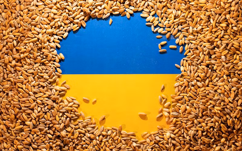 Ảnh minh họa: Hạt lúa mì trên nền cờ Ukraine. (Nguồn: Reuters)