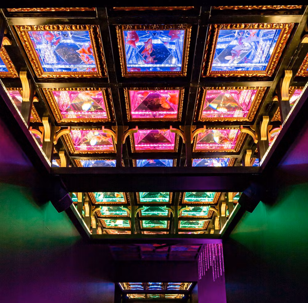 Huyền bí sắc màu Art Aquarium ở thủ đô Tokyo -3