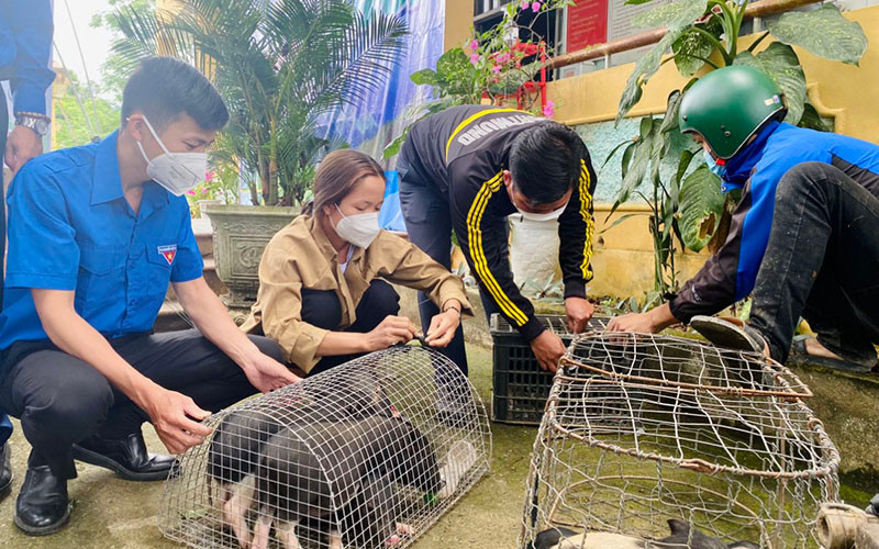 Tặng con giống cho thanh niên có hoàn cảnh khó khăn. Tuổi trẻ Đà Nẵng cùng hành trình “Tháng 3 biên giới” -0