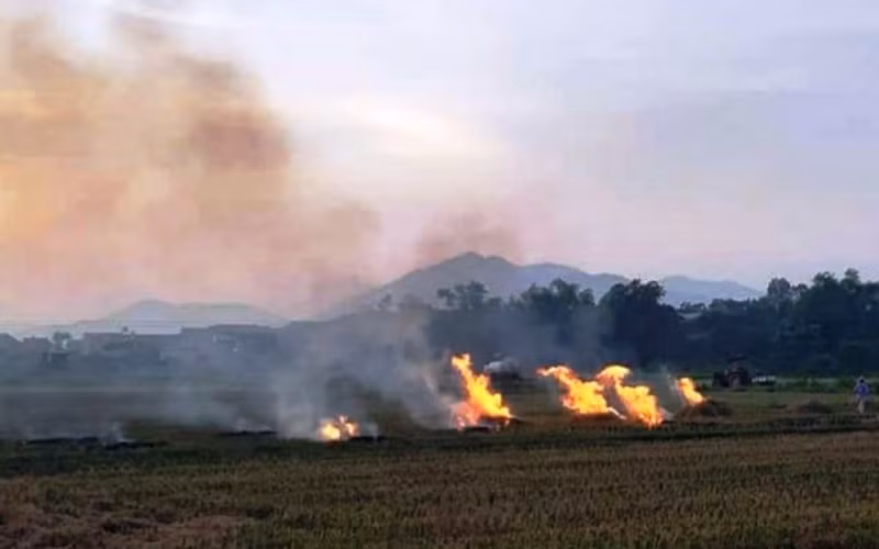 Người dân huyện Mỹ Đức đốt rơm rạ sau thu hoạch.