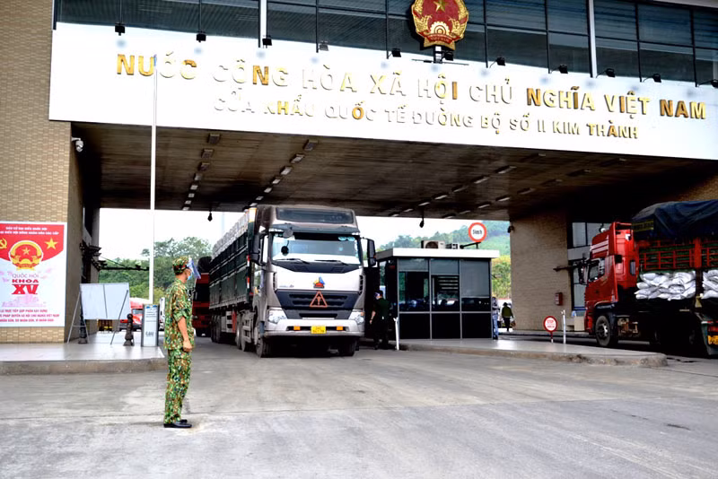 Mỗi ngày có hơn 500 tấn vải thiều xuất khẩu sang Trung Quốc, qua Cửa khẩu đường bộ Kim Thành (Lào Cai).