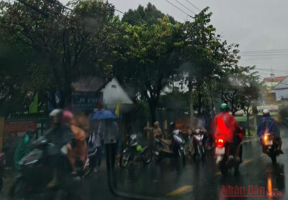 Mưa gió tại Kon Tum vào 8 giờ sáng 28-10 do ảnh hưởng của bão số 9. Phụ huynh đang đón học sinh trở về nhà tránh bão. (Ảnh: HOÀNG PHÚC THẮNG) Bão giật cấp 16 vào vùng biển Đà Nẵng đến Phú Yên -0
