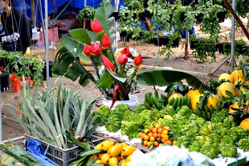Đông vui chợ phiên vùng cao ngày Tết -0