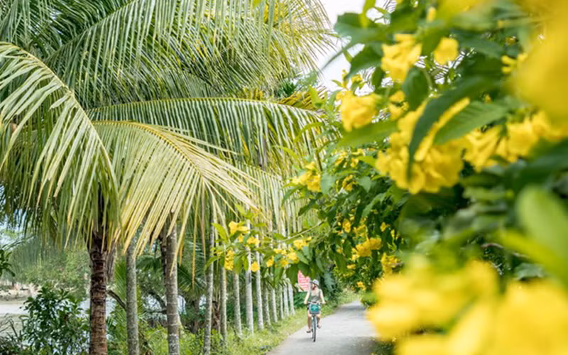 Một con đường tại Cần Thơ. Ảnh: TTXVN
