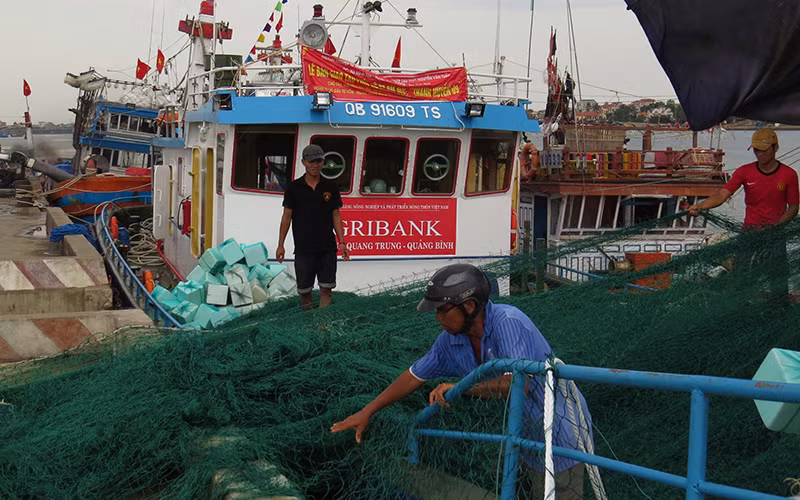 Nhiều "tàu cá 67" tại Quảng Bình đánh bắt không hiệu quả do cơ cấu nghề chưa hợp lý.