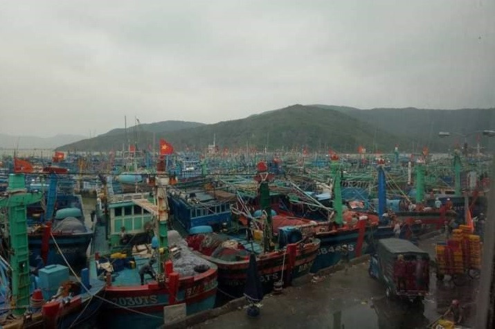 Các địa phương chủ động phòng chống bão số 9 ảnh 5 Các địa phương chủ động phòng chống bão số 9 -0
