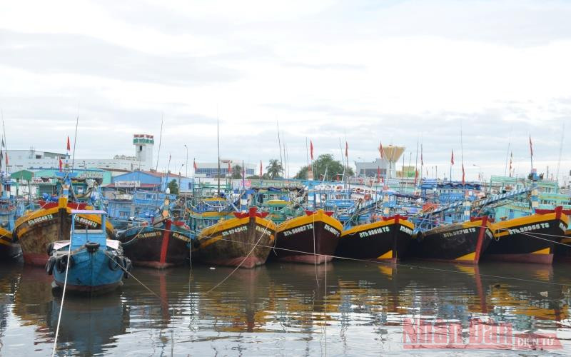 Các tàu thuyền vào neo đậu tránh trú bão tại sông Cà Ty, TP Phan Thiết (Bình Thuận). Các địa phương chủ động phòng chống bão số 9 -0