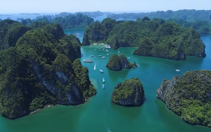 Quảng Ninh sẽ phát triển rừng đặc dụng thành rừng quốc gia Vịnh Hạ Long 