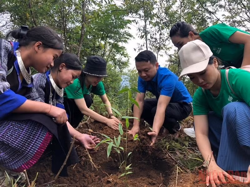 Khởi động chiến dịch Thanh niên tình nguyện hè 2022 -0