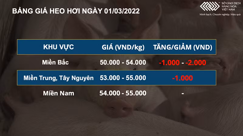 Sắc xanh lan tỏa nhóm nông sản, giá heo hơi tiếp tục hạ nhiệt -0