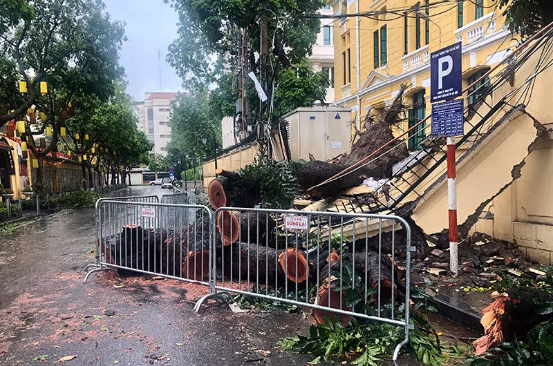 Cây xanh đổ chắn ngang tuyến phố Hỏa Lò.