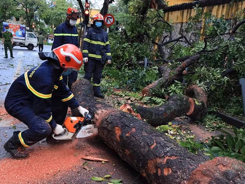 Khắc phục sự cố cây đổ trên phố Hỏa Lò -0