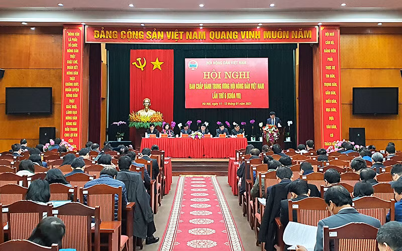 Toàn cảnh Hội nghị.