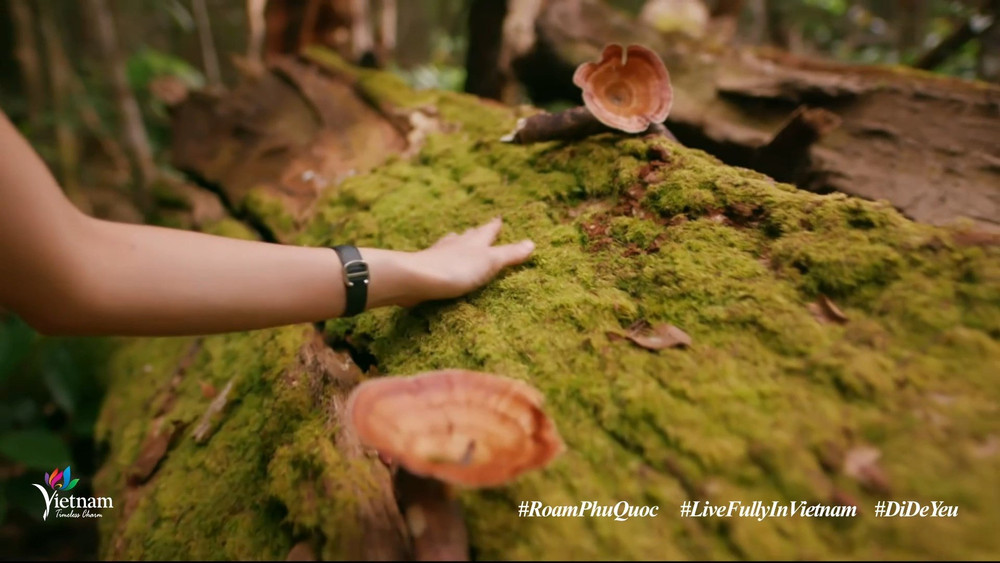 Hình ảnh từ clip Du ngoạn Phú Quốc qua clip “Việt Nam: Đi Để Yêu! – Roam Phu Quoc” -0