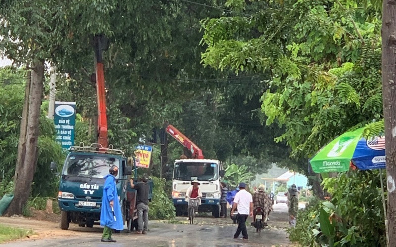 Chặt tỉa cây cối trước khi bão đến. A_3_1-1600335002973.jpg